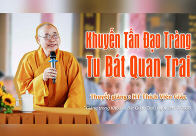 Khuyến tấn Đạo Tràng Tu Bát Quan Trai (3) | HT. Thích Viên Giác