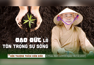 [Hỏi Đáp] Đạo đức là tôn trọng sự sống | HT. Thích Viên Giác