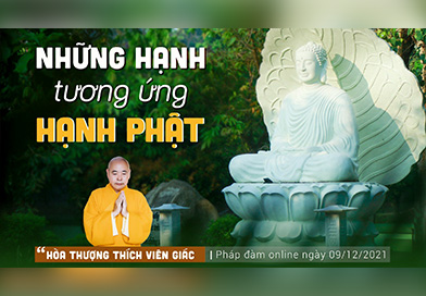 [Hỏi Đáp] Những Hạnh tương ứng Hạnh Phật | HT. Thích Viên Giác